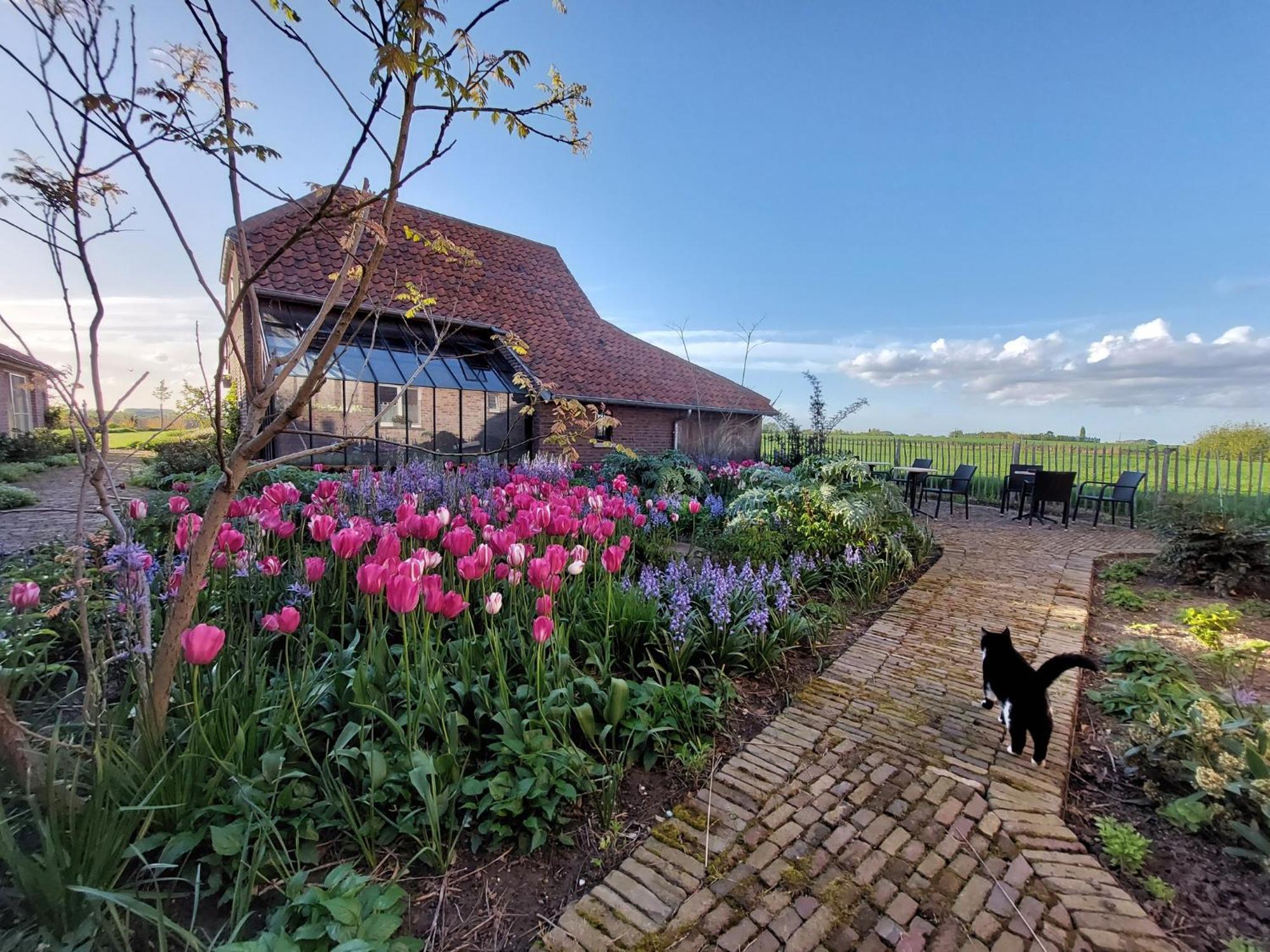 B&B Stefans Pottery Poperinge Kültér fotó
