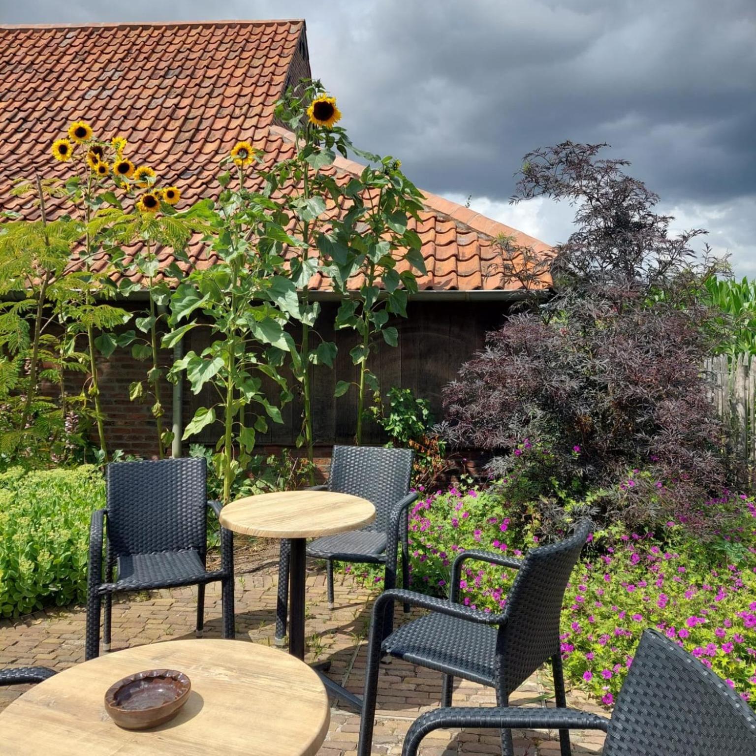 B&B Stefans Pottery Poperinge Kültér fotó